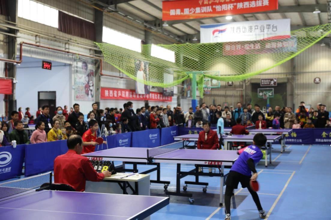 团队的凝聚 团队的凝聚