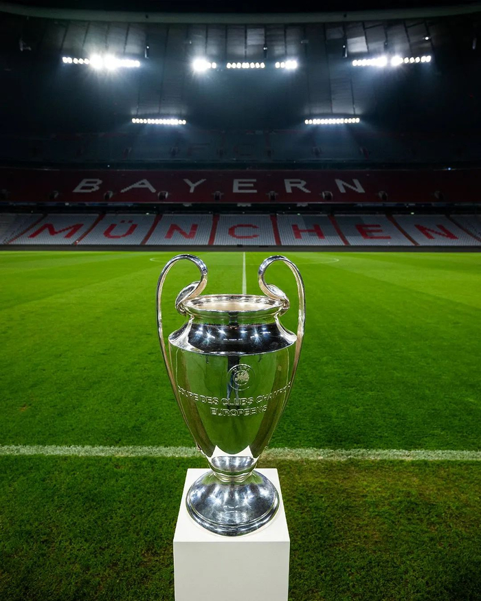 被体系化执 被体系化执